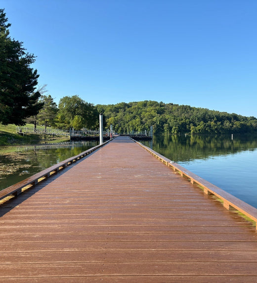 Promoting Public Access and Local Wildlife Education Through Community Docks