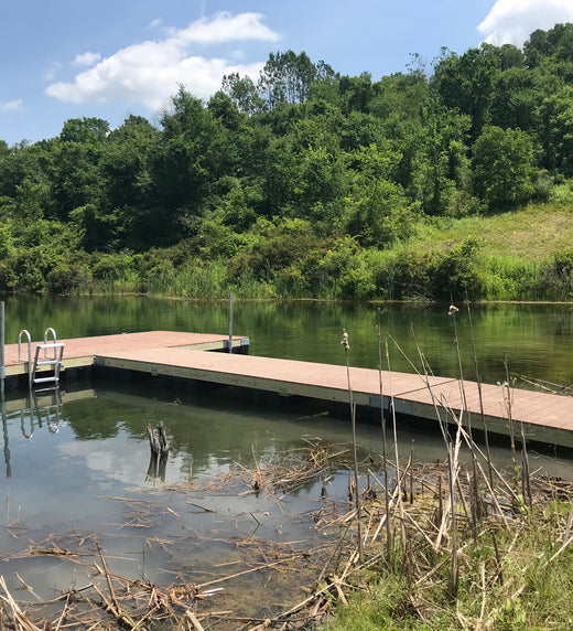 The Best Boat Dock Designs for Residential Areas - American Muscle Docks