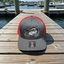 Gray and red AMD cap with a logo on a wooden dock by water
