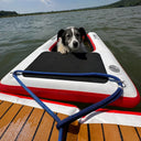 A black and white dog rests on an American Muscle Docks & Fabrication Mutt-scle XL Floating Dog Ramp, which is tethered to a wooden dock with a blue rope while floating on a lake.