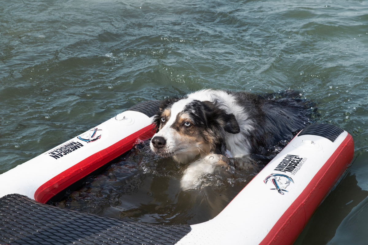 Dog Ramp Float Mutt-scle XL Floating Dog Ramp – American Muscle Docks