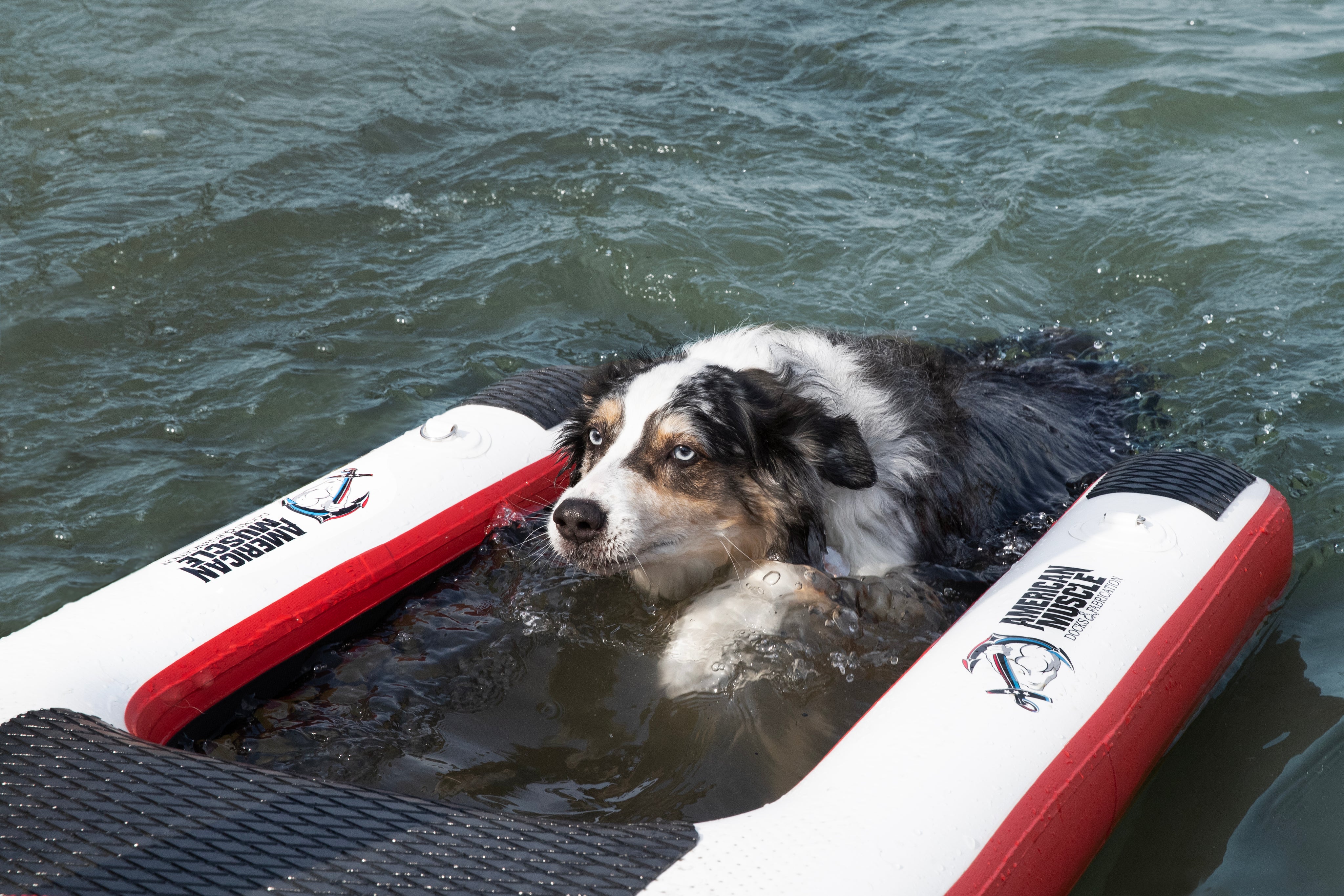 Mutt-scle XL Floating Dog Ramp – American Muscle Docks