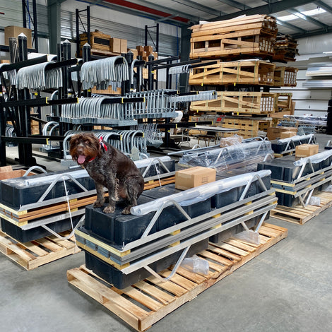 Dog standing on a simple dock in a warehouse with heavy duty hardware in the background built by American Muscle Docks