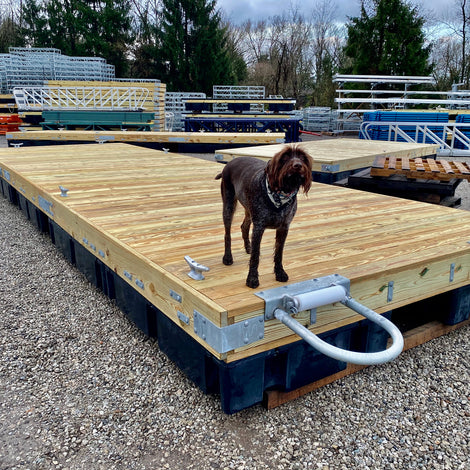 A brown dog stands on a wooden floating dock platform in an outdoor industrial storage area with metal supplies in the background.